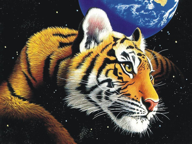 tiger in space with earth