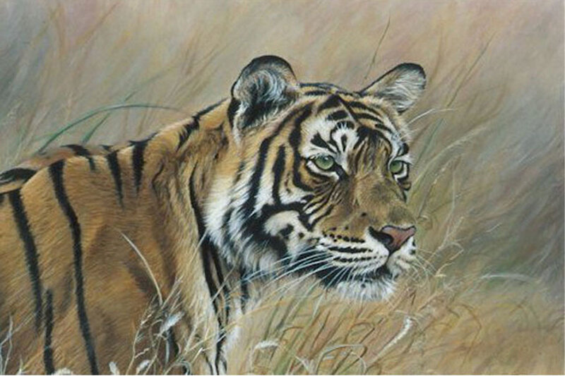 Tiger in Tall Grass — Orange, Alert, Painting