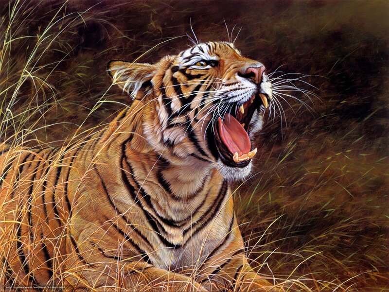 Tiger in Tall Grass — Orange, Dramatic, Painting
