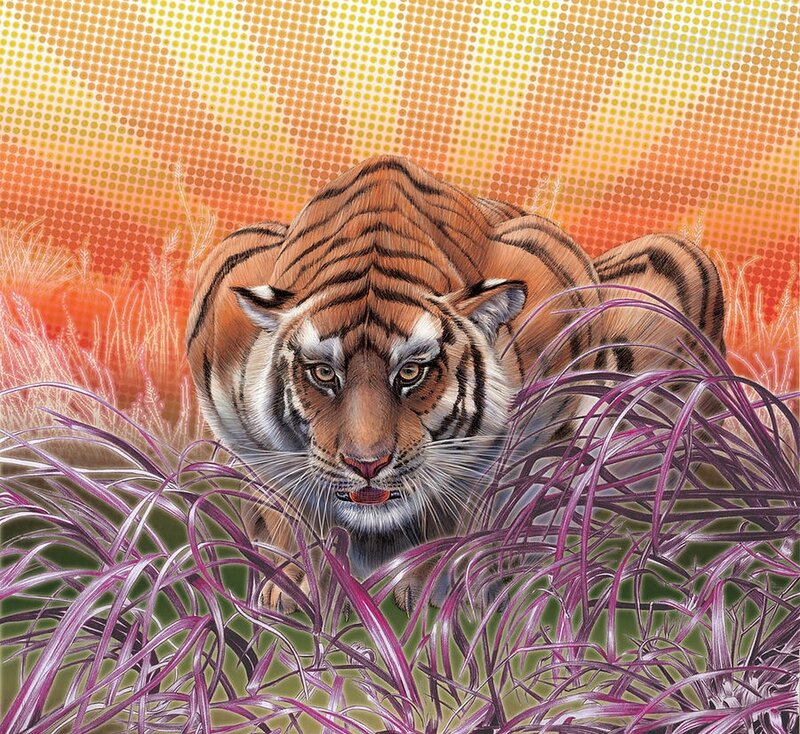 Tiger in Tall Grass — Orange, Dramatic, Sunset, Illustration