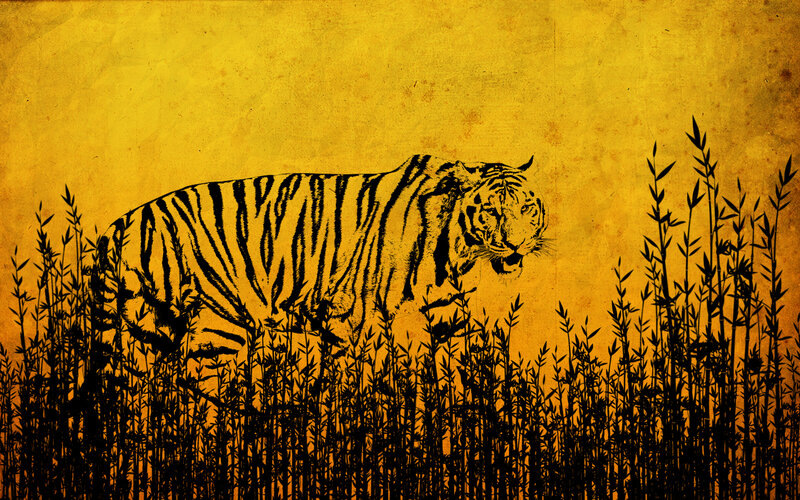 Tiger in Tall Grass — Yellow