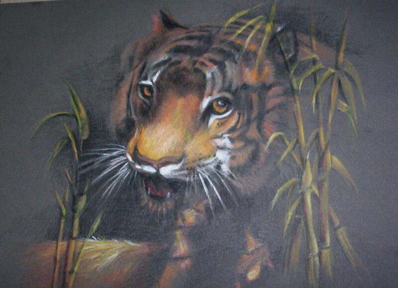tiger in the bamboo