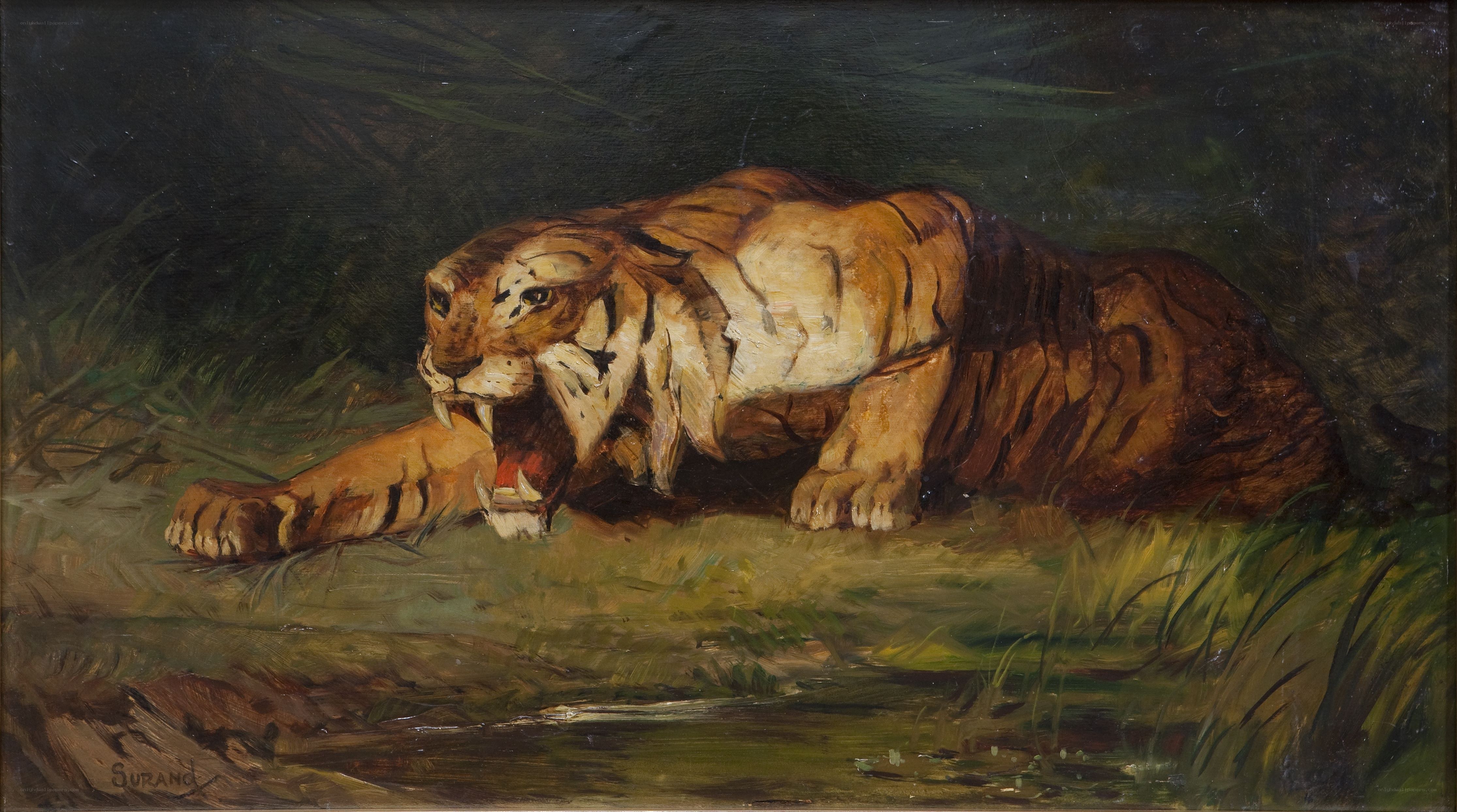 Tiger in the Forest