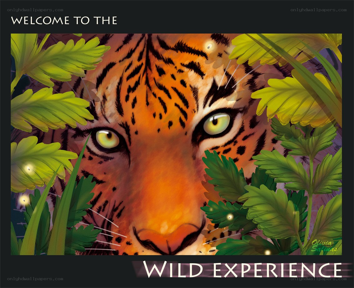 tiger in the jungle