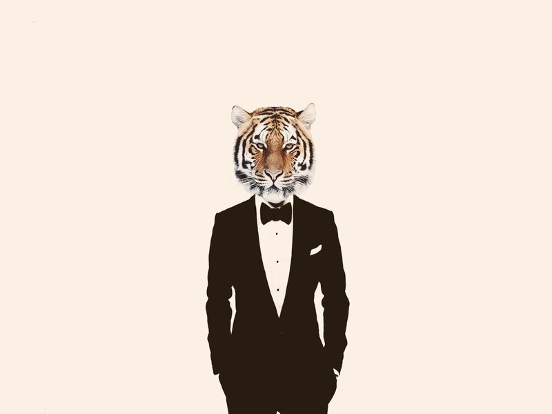Tiger in Tuxedo — Black, Formal
