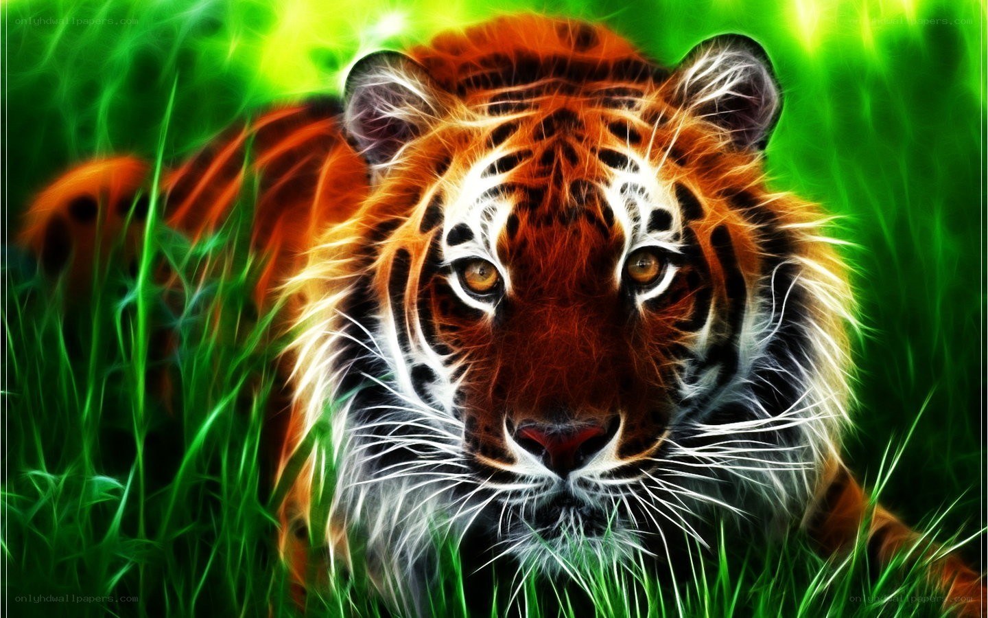 tiger in vibrant green grass