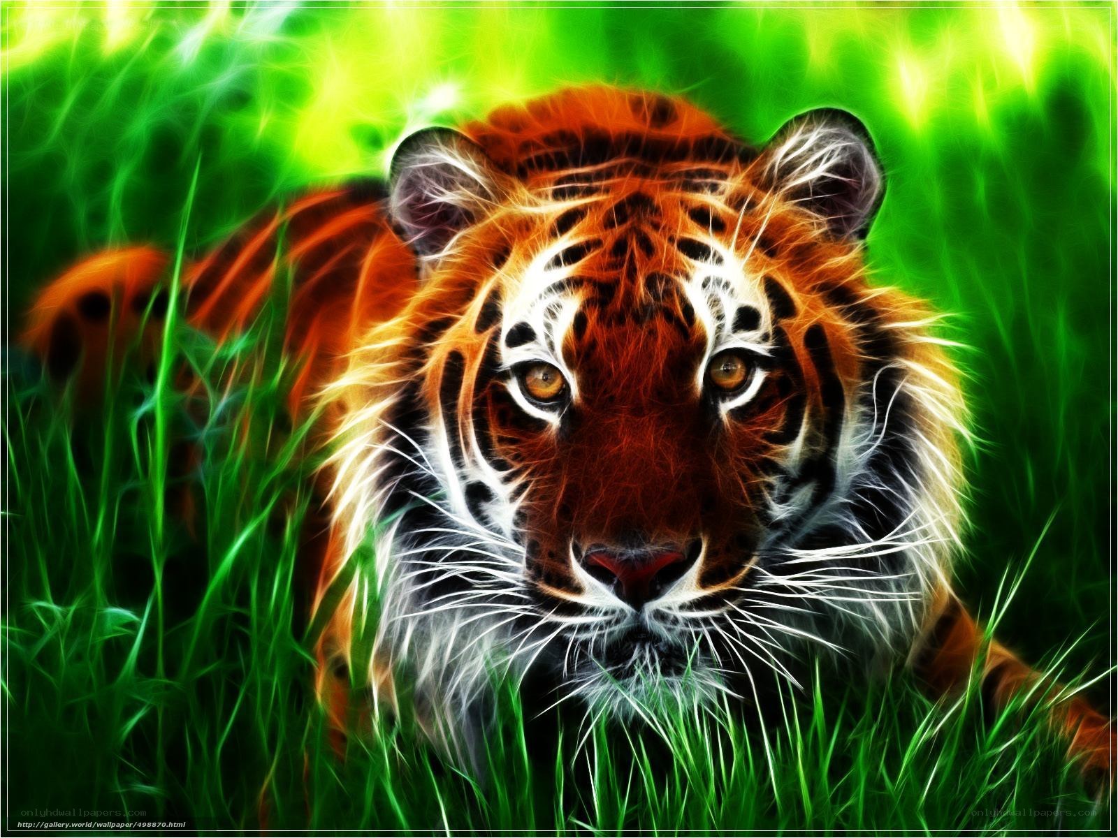 tiger in vibrant green grass