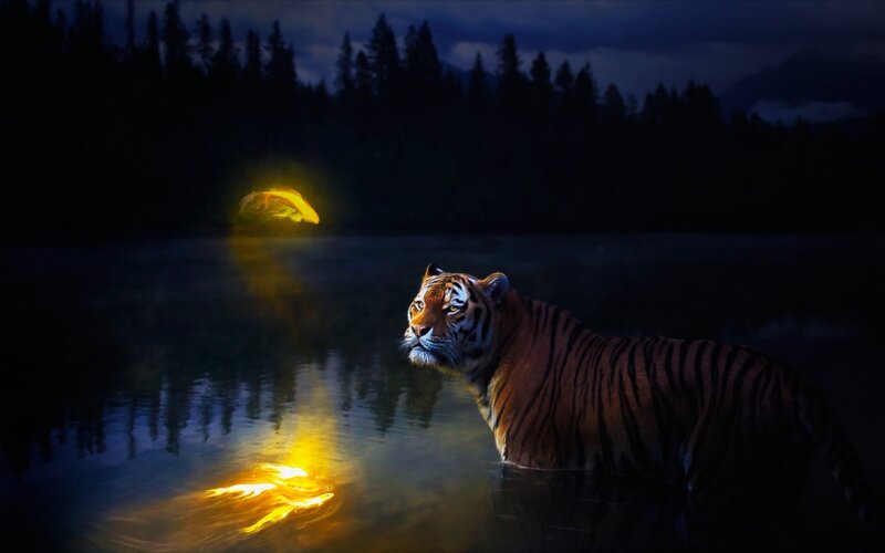 Tiger in Water — Black, Dramatic, Night, Digital Art