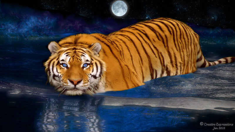 Tiger in Water — Blue