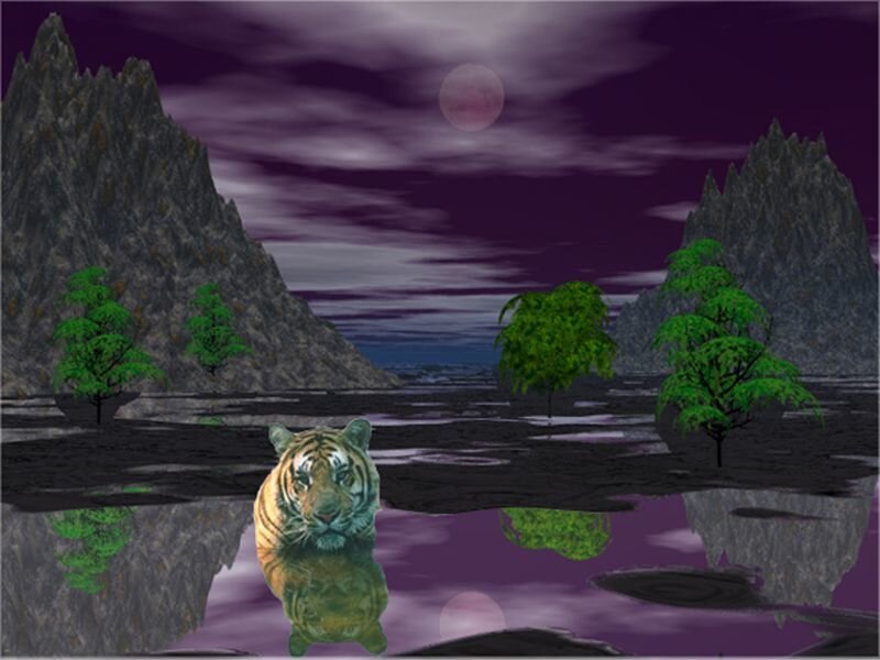 Tiger in Water — Purple