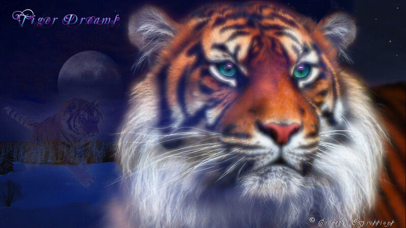 Tiger in Winter Landscape