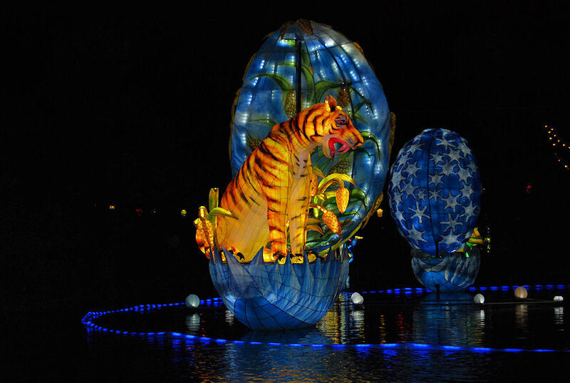 Tiger lantern display at night