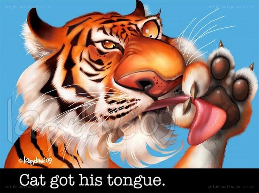 tiger licking its paw