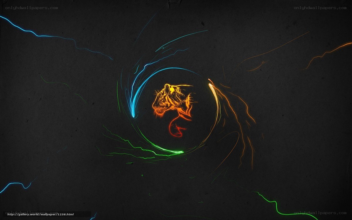 tiger light trail art