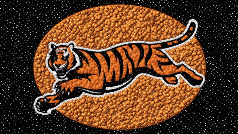 Tiger Logo on Basketball