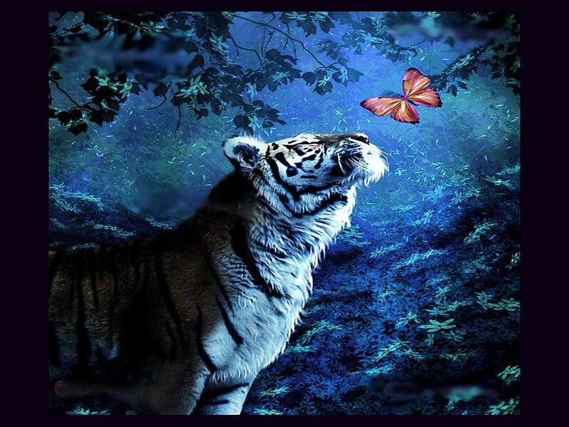 Tiger Looking at Butterfly — Blue