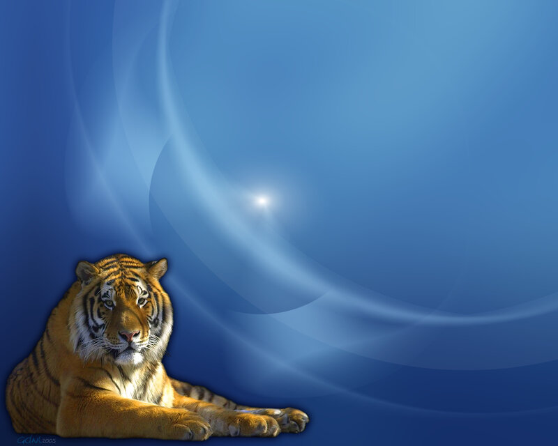 Tiger Lying Down — Blue, Calm, Digital Art, Blue Background