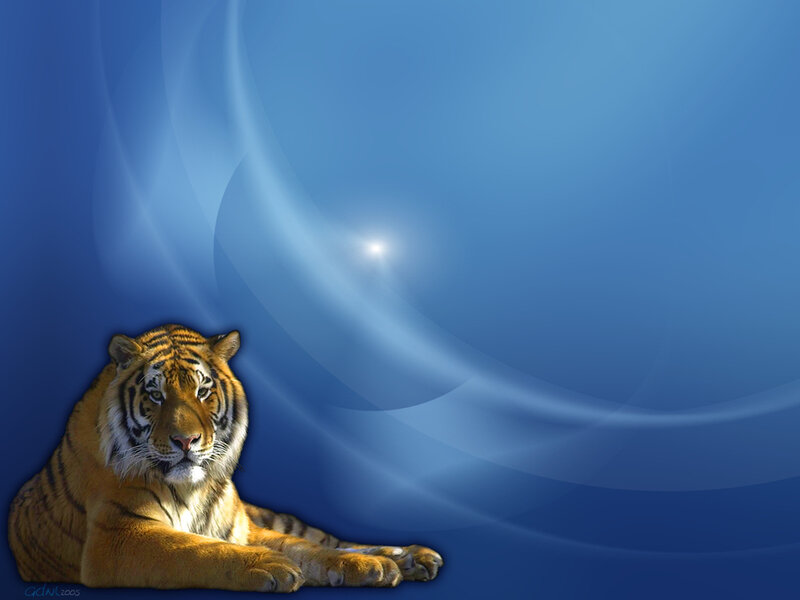 Tiger Lying Down — Blue, Calm, Digital Art