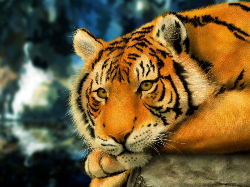 Tiger Lying Down — Orange, Calm, Digital Art, Rock