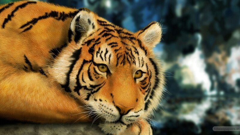Tiger Lying Down — Orange, Calm, Digital Art
