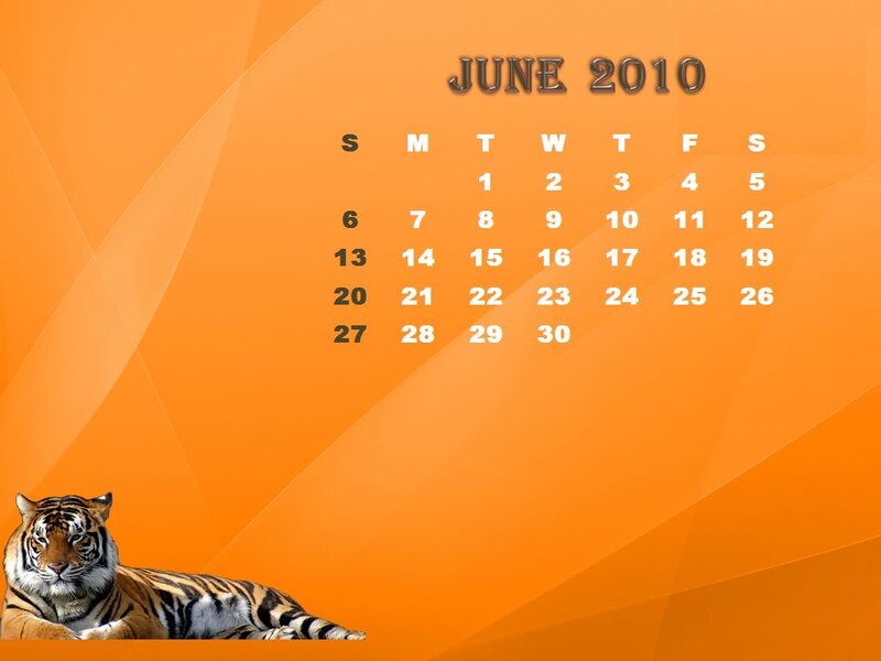Tiger Lying Down — Orange, Calm, Photograph, Calendar