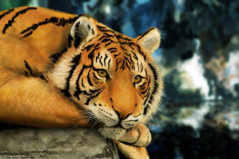 Tiger Lying Down — Orange, Calm, Photograph, Rock, Forest