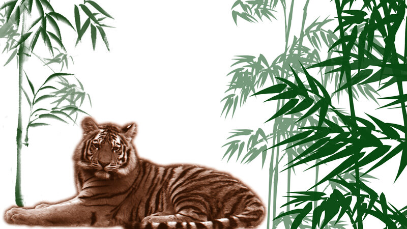 Tiger Lying in Bamboo