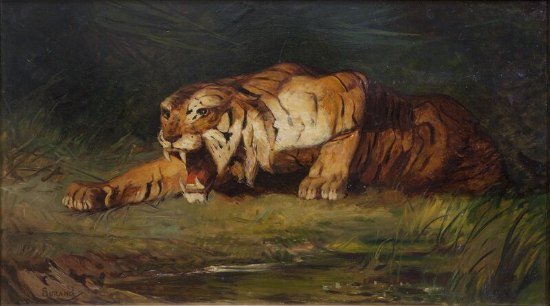 Tiger Lying in Grass — Brown, Dramatic