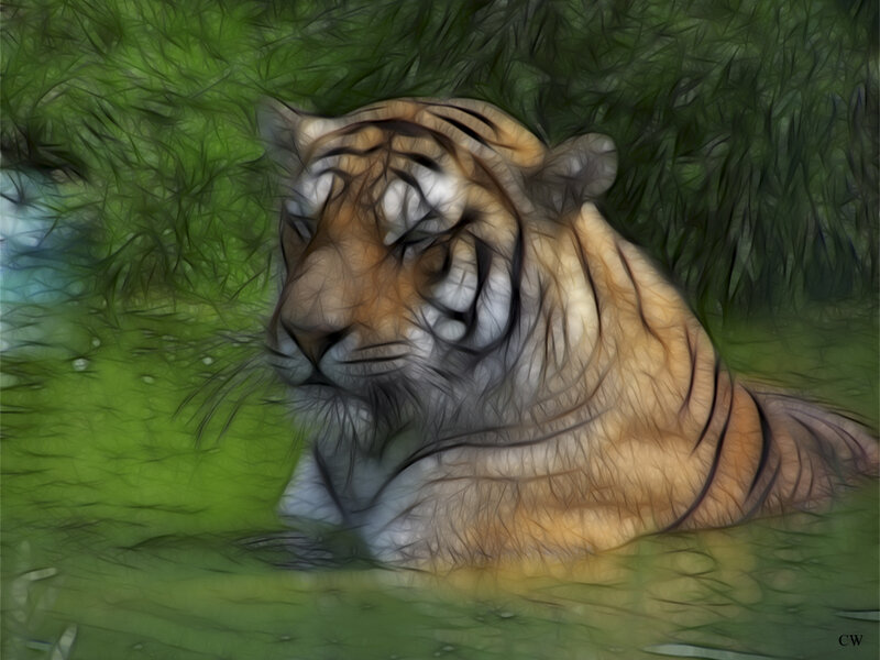 Tiger Lying in Grass — Green, Calm, Digital Art