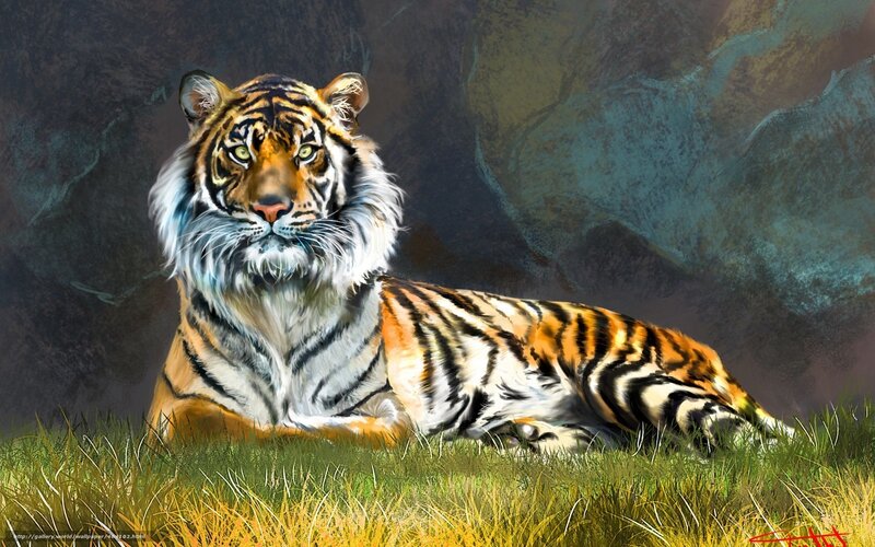 Tiger Lying in Grass — Orange, Calm, Digital Art
