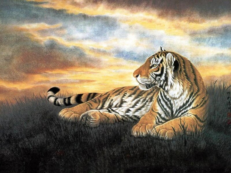 Tiger Lying in Grass — Orange, Dramatic