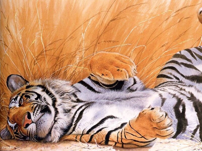 Tiger Lying in Grass — Orange, Relaxed, Afternoon, Illustration