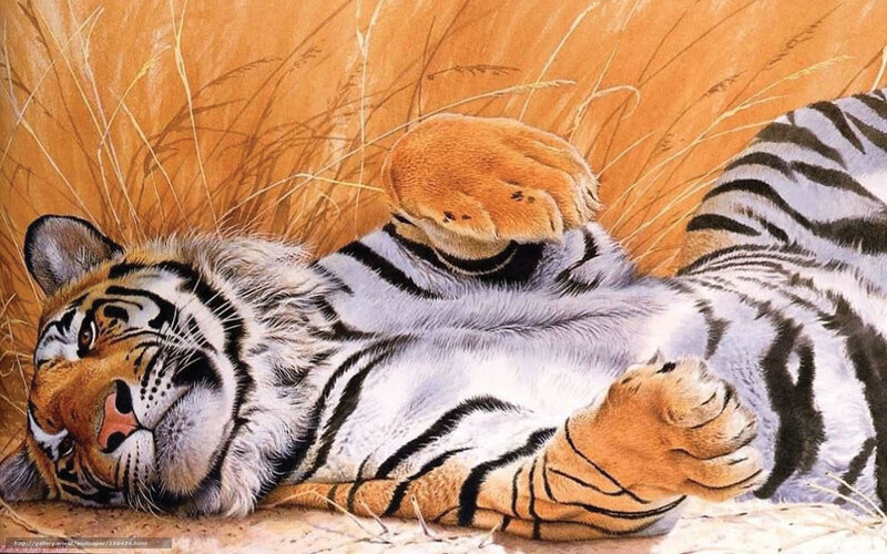 Tiger Lying in Grass — Orange, Relaxed, Illustration