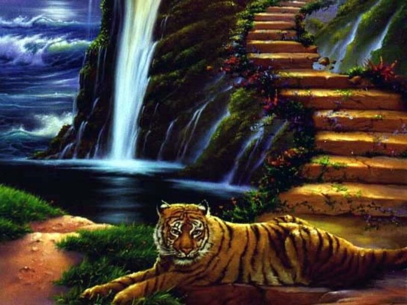 Tiger Lying Near Waterfall