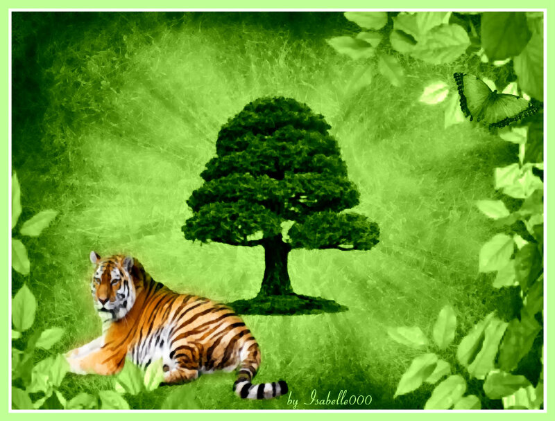 Tiger Lying on Grass — Green, Serene