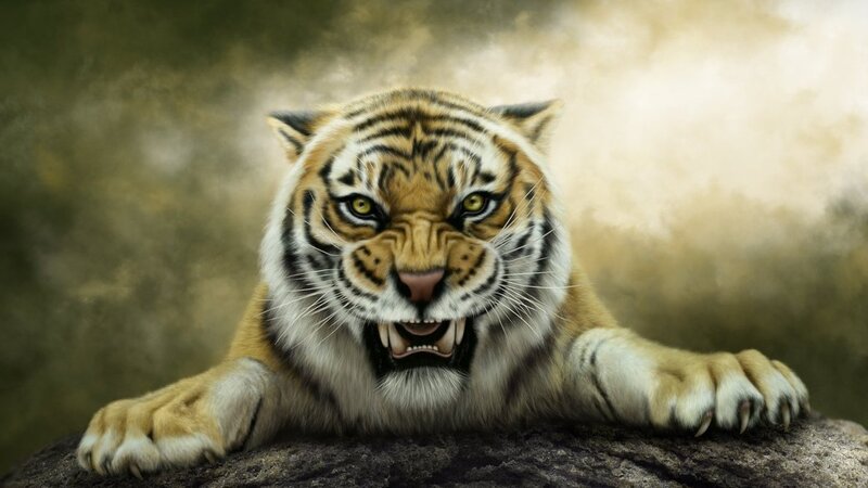 Tiger Lying on Rock — Orange, Intense