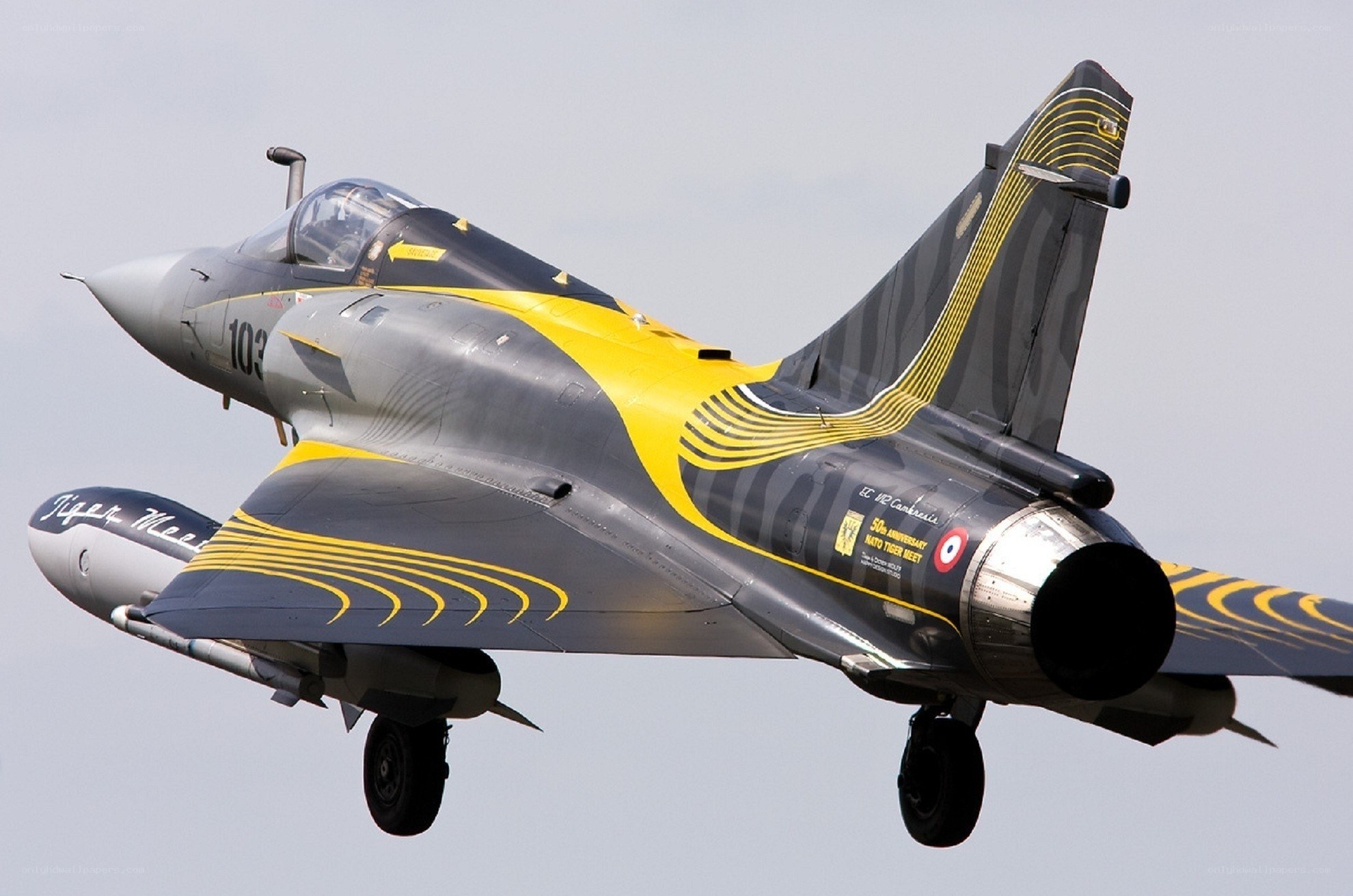 Tiger Meet jet in flight