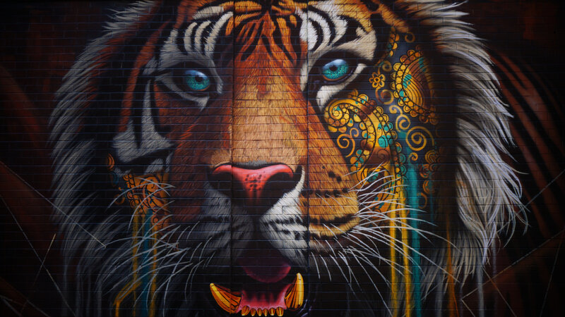 Tiger Mural on Brick Wall
