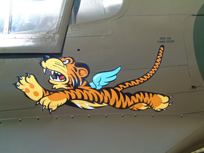 tiger nose art on aircraft
