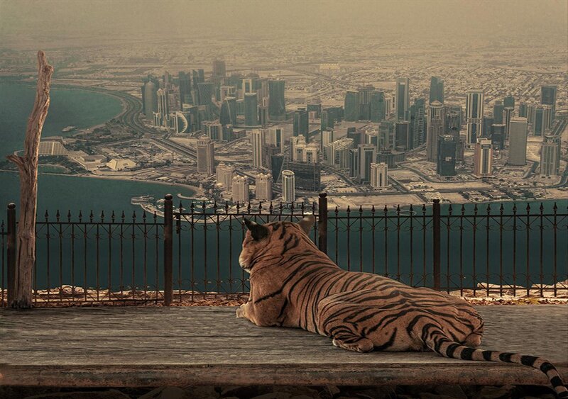 Tiger on a Bench
