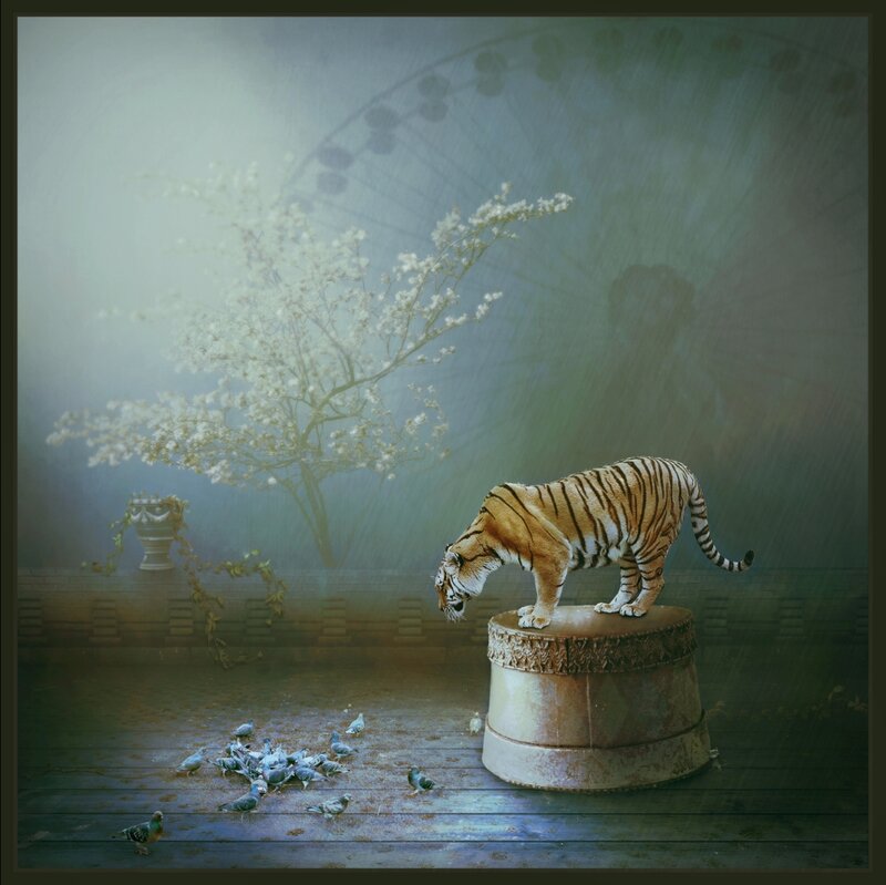 Tiger on a Pedestal