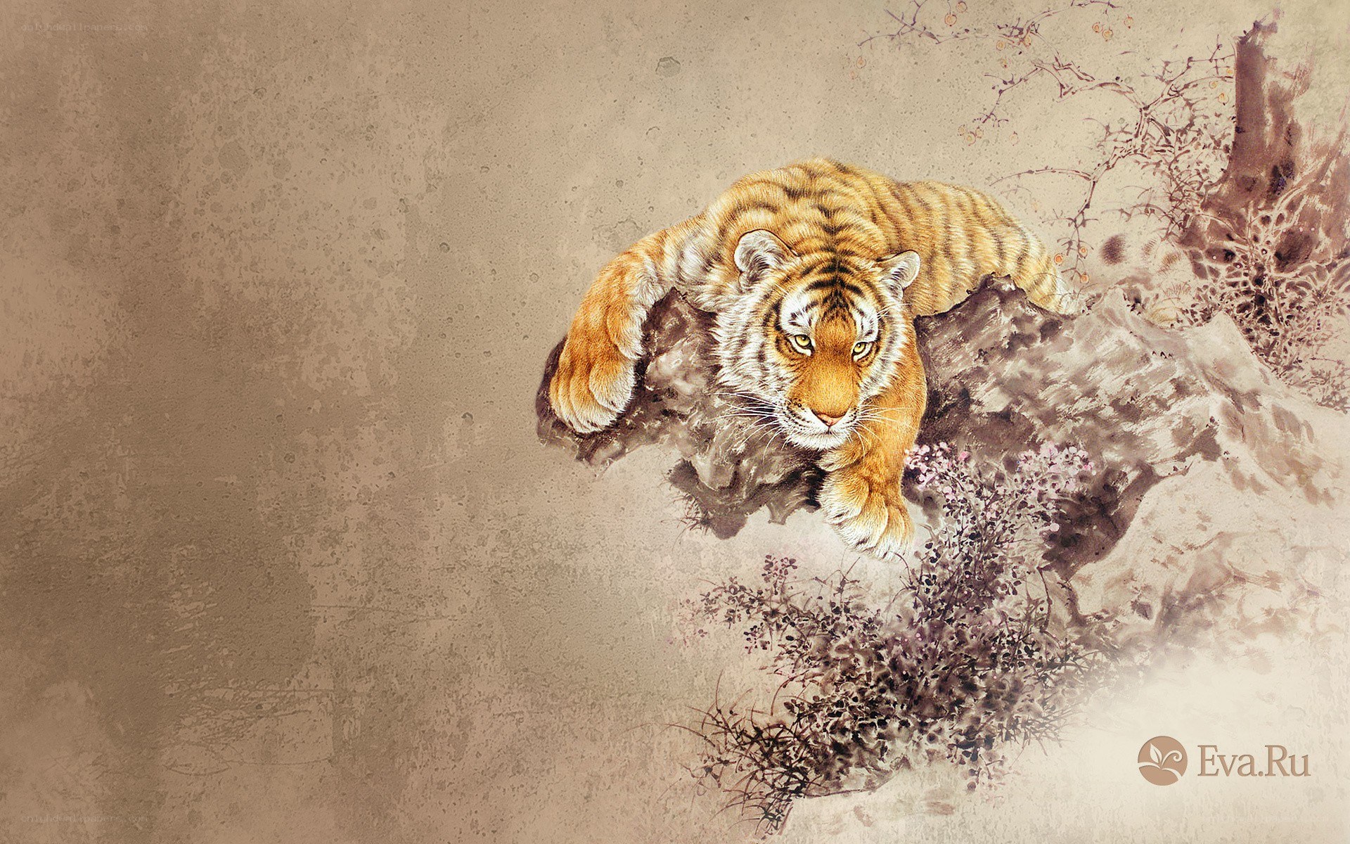 tiger on a rock