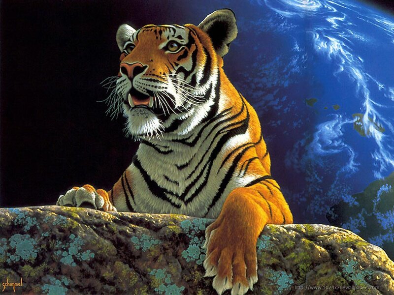 Tiger on a Rock — Orange, Dramatic, Digital Art, Earth, Sky