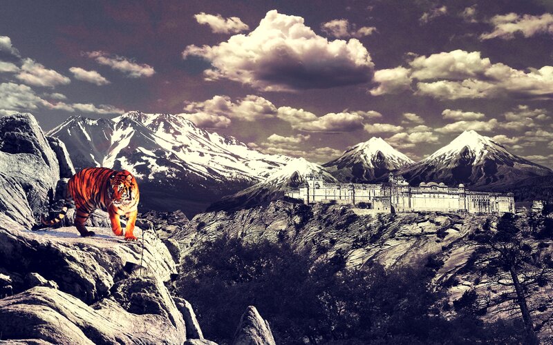 Tiger on a Rock — Orange, Dramatic, Digital Art