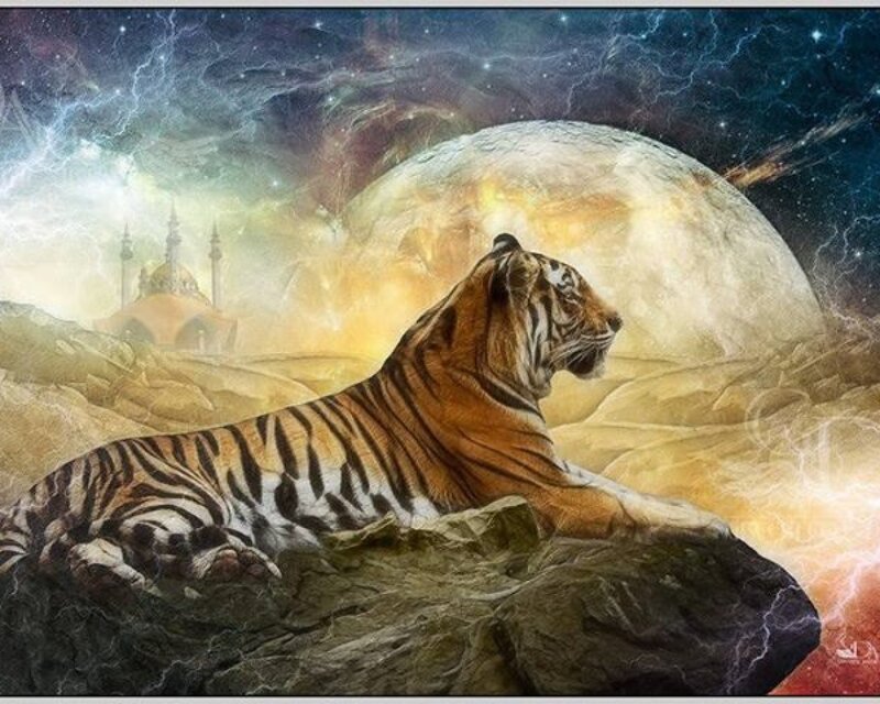 Tiger on a Rock — Orange, Dramatic, Night