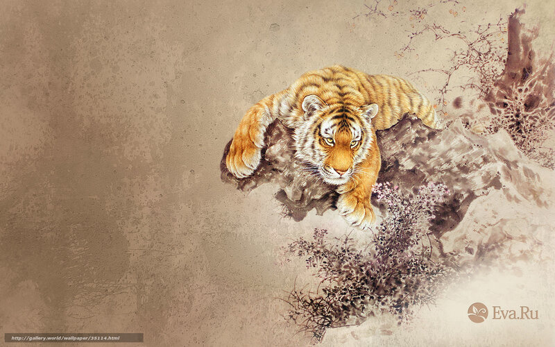 tiger on a rock