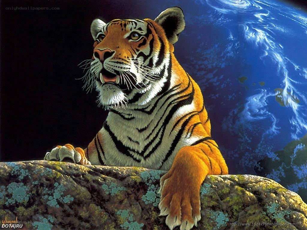 tiger on a rock with earth