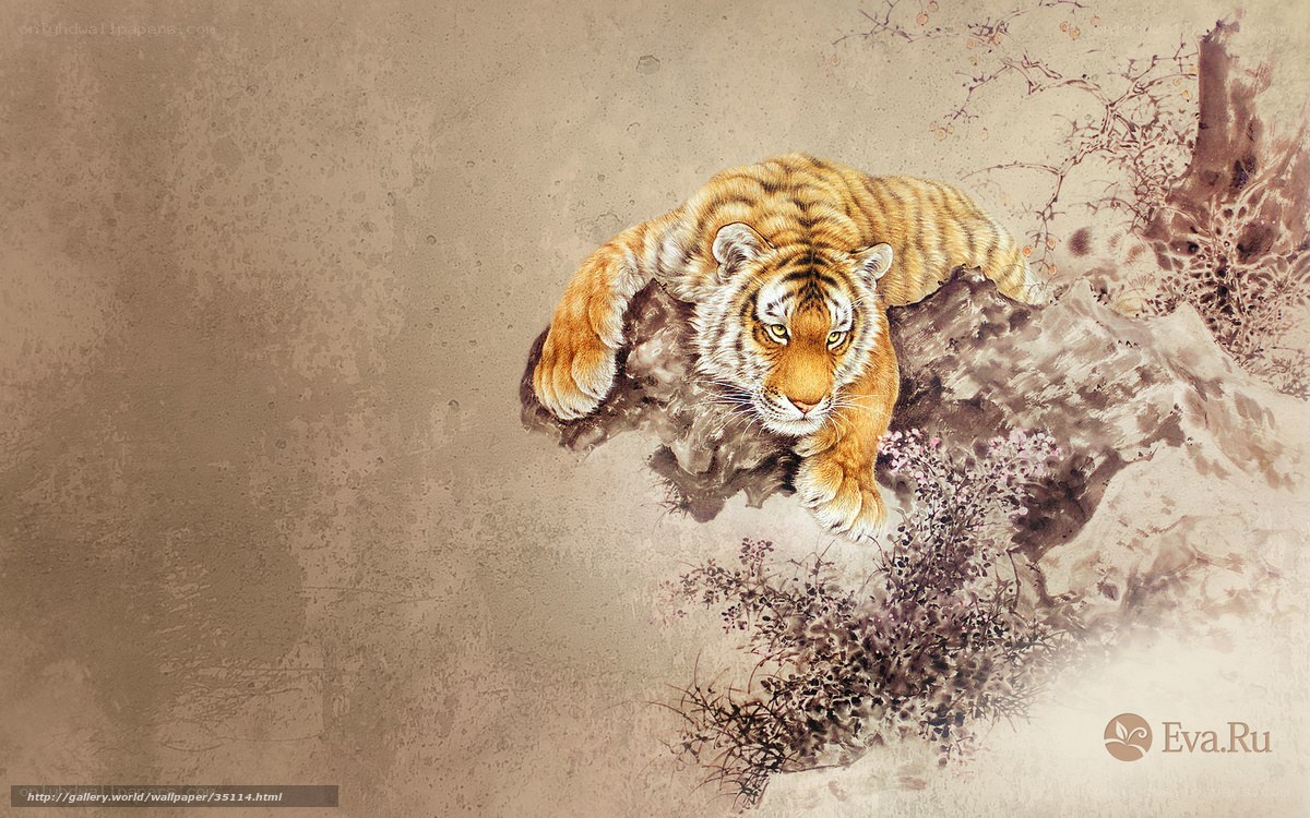 tiger on a rock