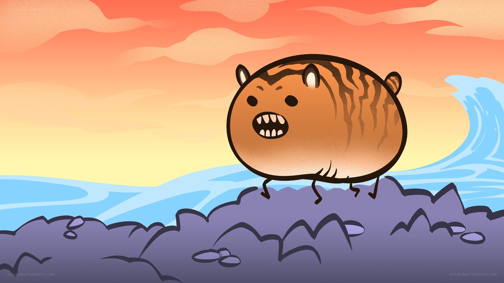 tiger on a rocky shore