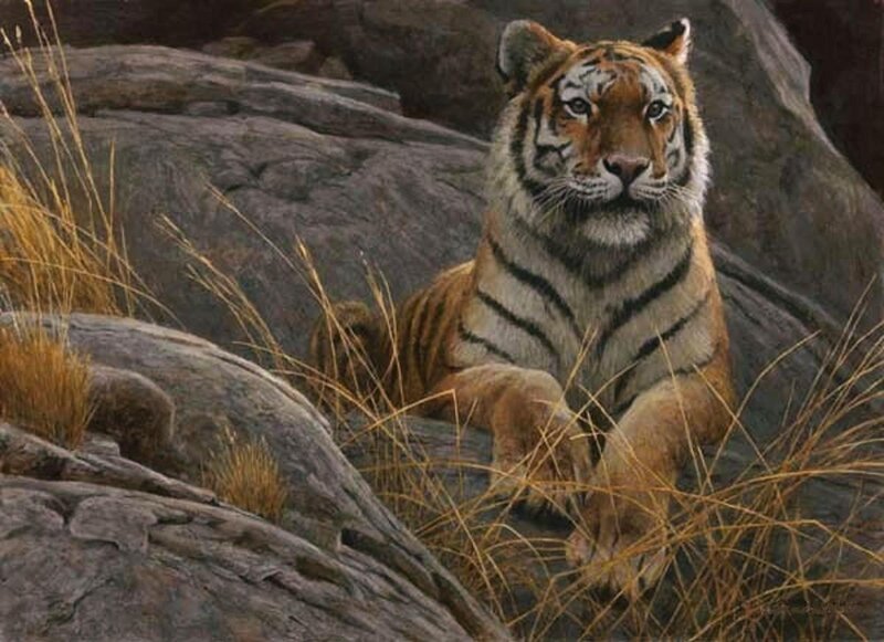 Tiger on Rocks — Orange, Alert, Painting